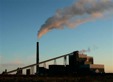080114-coalontrial-hmed-1phmedium.jpg